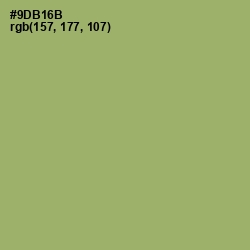 #9DB16B - Olivine Color Image