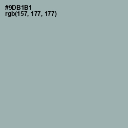 #9DB1B1 - Gull Gray Color Image