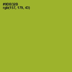 #9DB32B - Sushi Color Image