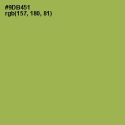 #9DB451 - Chelsea Cucumber Color Image