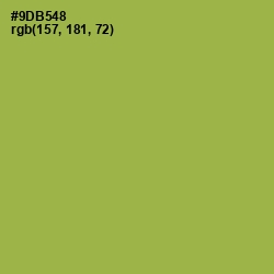 #9DB548 - Chelsea Cucumber Color Image