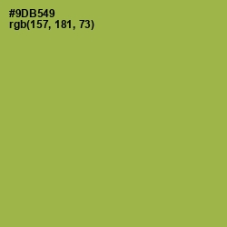 #9DB549 - Chelsea Cucumber Color Image