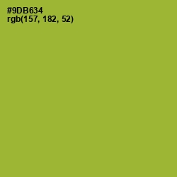 #9DB634 - Sushi Color Image