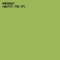 #9DB657 - Chelsea Cucumber Color Image