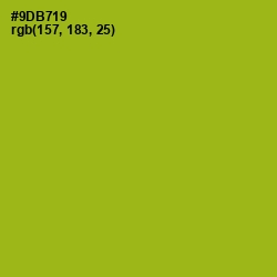 #9DB719 - Citron Color Image