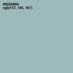 #9DB9BB - Gull Gray Color Image