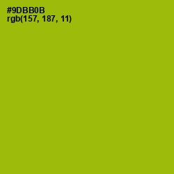 #9DBB0B - Citron Color Image