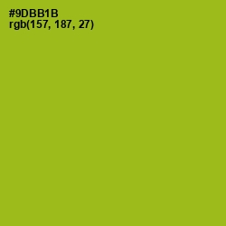 #9DBB1B - Citron Color Image