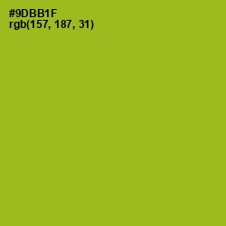 #9DBB1F - Citron Color Image