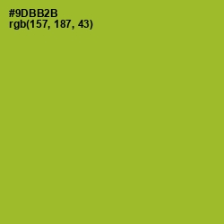 #9DBB2B - Sushi Color Image