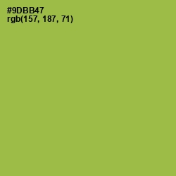 #9DBB47 - Chelsea Cucumber Color Image