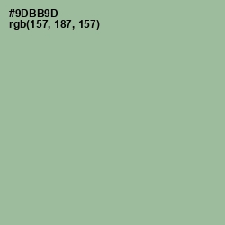 #9DBB9D - Envy Color Image