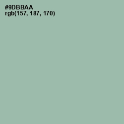 #9DBBAA - Summer Green Color Image