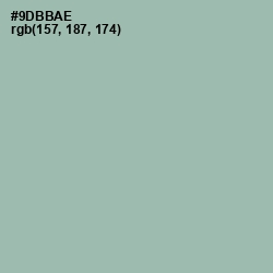 #9DBBAE - Summer Green Color Image