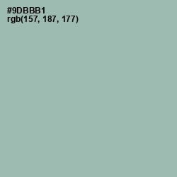 #9DBBB1 - Summer Green Color Image