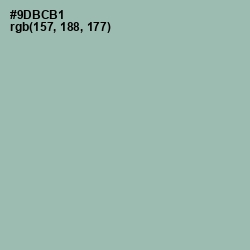 #9DBCB1 - Summer Green Color Image