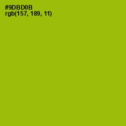 #9DBD0B - Citron Color Image