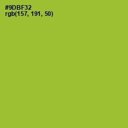 #9DBF32 - Sushi Color Image