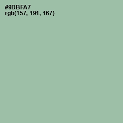 #9DBFA7 - Summer Green Color Image
