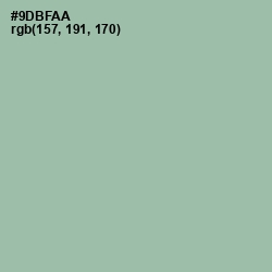 #9DBFAA - Summer Green Color Image