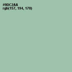 #9DC2AA - Shadow Green Color Image