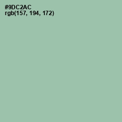 #9DC2AC - Shadow Green Color Image