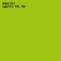 #9DC513 - Pistachio Color Image