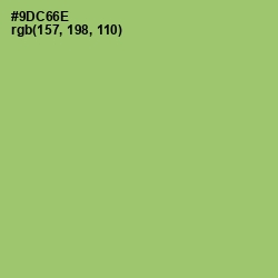 #9DC66E - Wild Willow Color Image