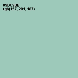 #9DC9BB - Shadow Green Color Image