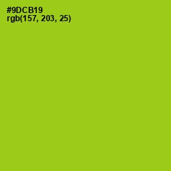 #9DCB19 - Pistachio Color Image