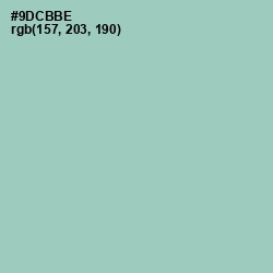 #9DCBBE - Shadow Green Color Image