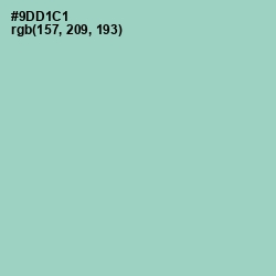 #9DD1C1 - Sinbad Color Image