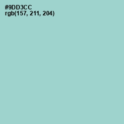#9DD3CC - Sinbad Color Image