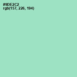 #9DE2C2 - Riptide Color Image