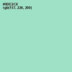 #9DE2C8 - Riptide Color Image