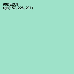 #9DE2C9 - Riptide Color Image