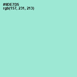 #9DE7D5 - Riptide Color Image