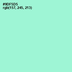 #9DF5D5 - Riptide Color Image
