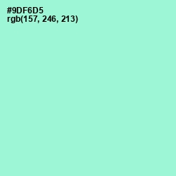 #9DF6D5 - Riptide Color Image