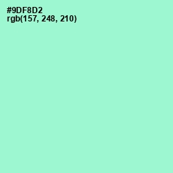 #9DF8D2 - Riptide Color Image