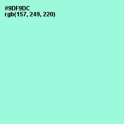 #9DF9DC - Riptide Color Image
