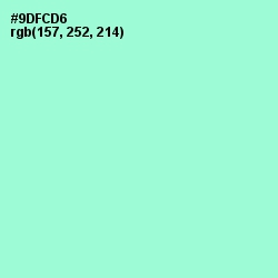 #9DFCD6 - Riptide Color Image