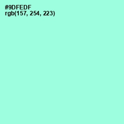 #9DFEDF - Riptide Color Image