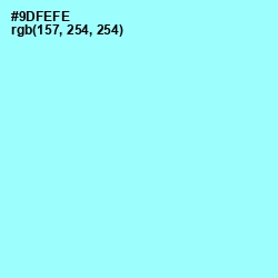 #9DFEFE - Anakiwa Color Image