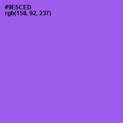 #9E5CED - Medium Purple Color Image