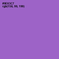 #9E63C7 - Amethyst Color Image