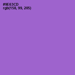 #9E63CD - Amethyst Color Image