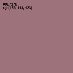 #9E727B - Bazaar Color Image