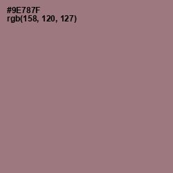 #9E787F - Bazaar Color Image