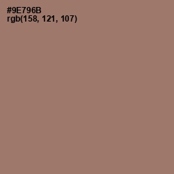 #9E796B - Almond Frost Color Image